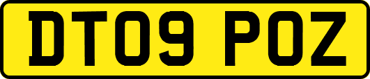 DT09POZ