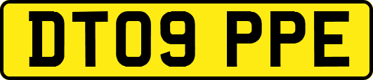 DT09PPE
