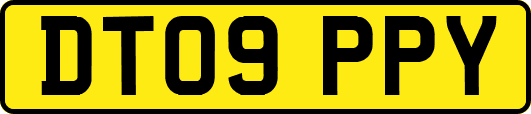 DT09PPY