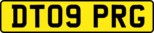 DT09PRG