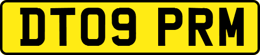 DT09PRM