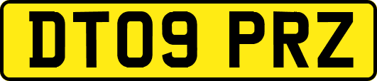 DT09PRZ