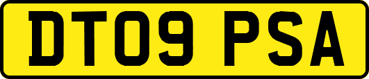 DT09PSA