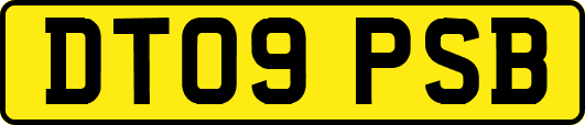 DT09PSB