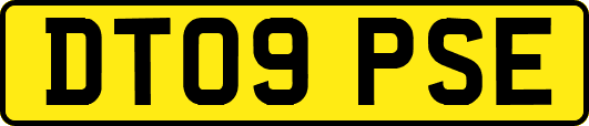 DT09PSE