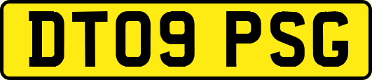 DT09PSG