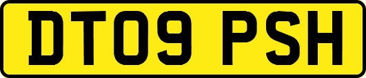 DT09PSH