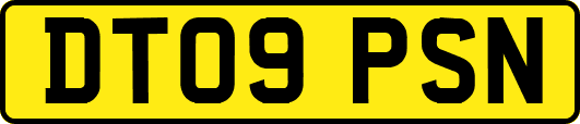DT09PSN