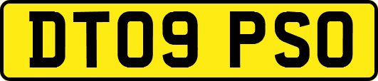 DT09PSO
