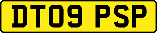 DT09PSP