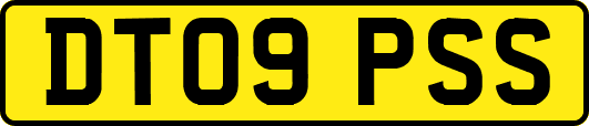 DT09PSS