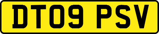 DT09PSV