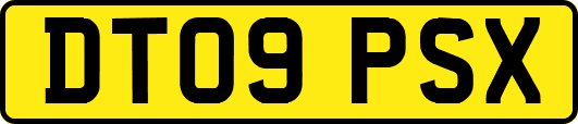 DT09PSX