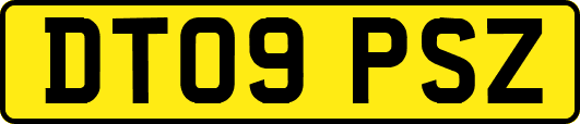 DT09PSZ