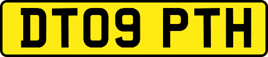 DT09PTH