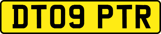 DT09PTR