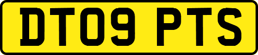 DT09PTS