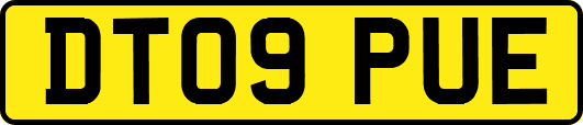 DT09PUE