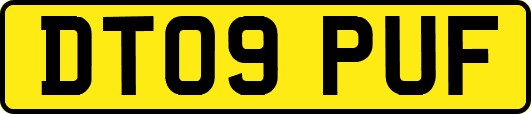 DT09PUF