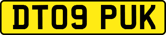 DT09PUK