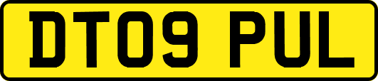 DT09PUL
