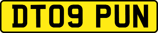 DT09PUN