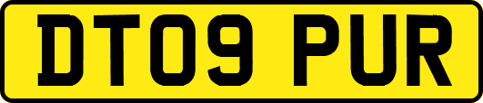 DT09PUR