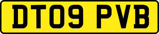 DT09PVB