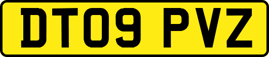 DT09PVZ