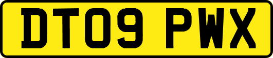 DT09PWX