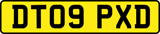 DT09PXD