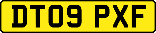 DT09PXF