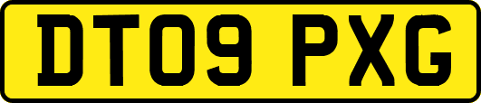 DT09PXG
