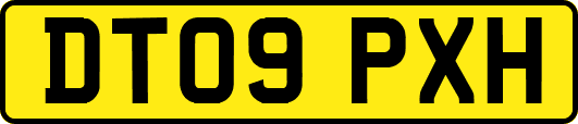 DT09PXH