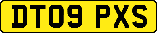 DT09PXS