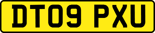 DT09PXU