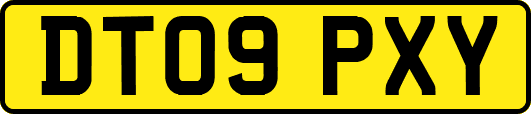 DT09PXY