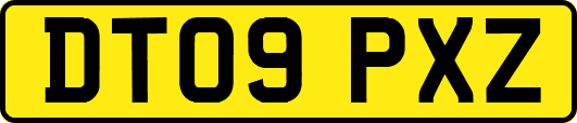 DT09PXZ