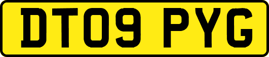 DT09PYG