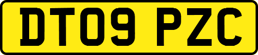 DT09PZC