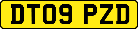 DT09PZD