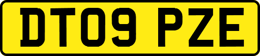 DT09PZE