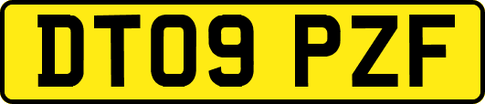 DT09PZF