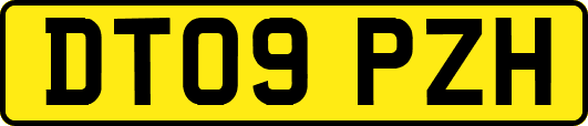 DT09PZH