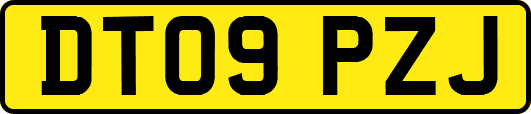 DT09PZJ