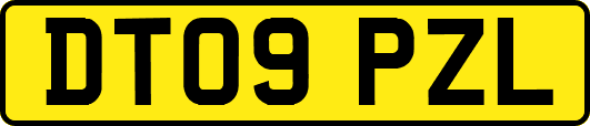 DT09PZL