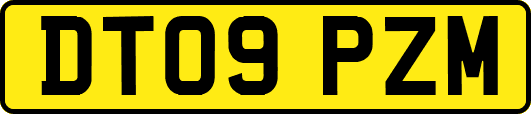 DT09PZM