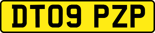 DT09PZP