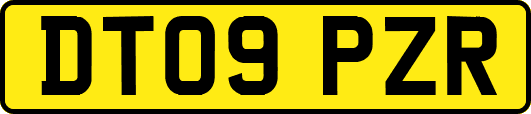 DT09PZR