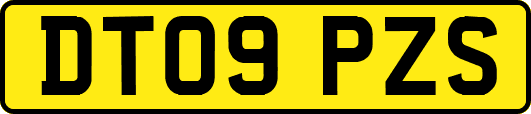 DT09PZS